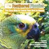 Feathered Phonics CD - Vol 1