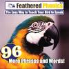 Feathered Phonics CD - Vol 4
