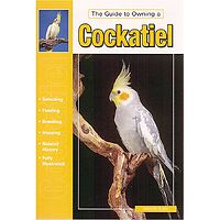 Cockatiel - Guide to Owning