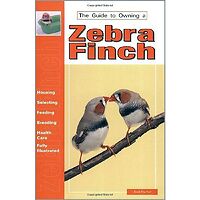 Zebra Finch - Guide to Owning