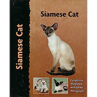 Siamese Cat - Pet Love