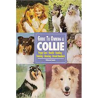 Collie - Guide to Owning
