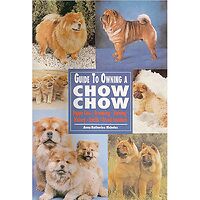 Chow Chow - Guide to Owning
