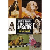 Cocker Spaniel (American) - Guide to Owning