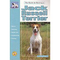 Jack Russell Terrier - Guide to Owning
