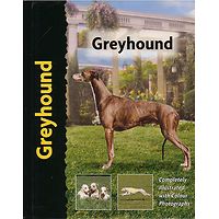 Greyhound - Pet Love