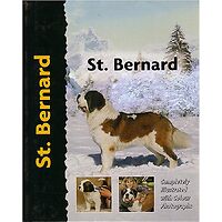 St. Bernard - Pet Love