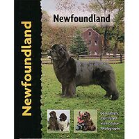 Newfoundland - Pet Love