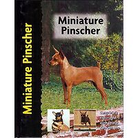 Miniature Pinscher - Pet Love