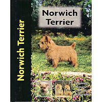 Norwich Terrier - Pet Love