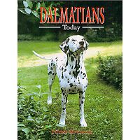 Dalmatians Today