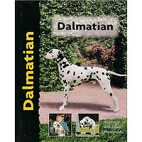 Dalmatian - Pet Love