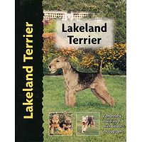 Lakeland Terrier - Pet Love
