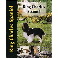 King Charles Spaniel - Pet Love