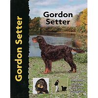Gordon Setter - Pet Love