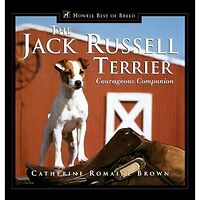 Jack Russell Terrier: Courageous Companion