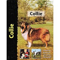 Collie - Pet Love