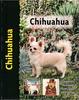 Chihuahua - Pet Love