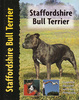 Staffordshire Bull Terrier - Pet Love