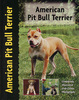 American Pit Bull Terrier - Pet Love