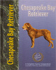 Chesapeake Bay Retriever - Pet Love