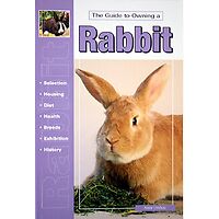 Rabbits - Guide to Owning