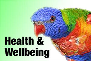 Health care products for birds and parrots