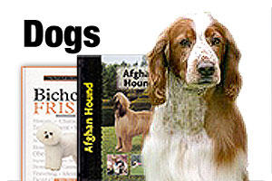Dog books and DVDs