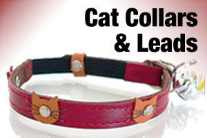 Cat collars and leads