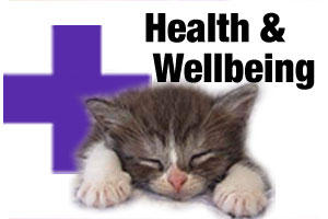 Healthcare products for dogs