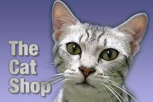 pet products for cats and kittens