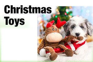 Dog toys for christmas