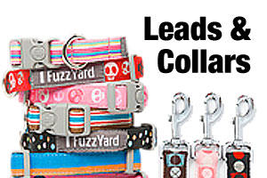 Dog collars & leads