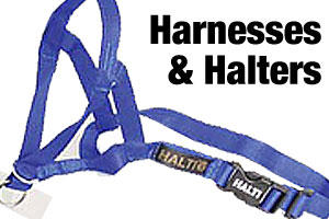 Dog halters and dog halters for walking