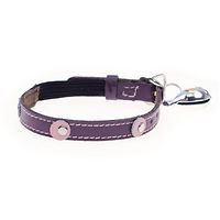 Moet Leather Cat Collar Purple