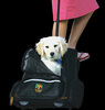 Roll Along Pet Carrier & Backpack