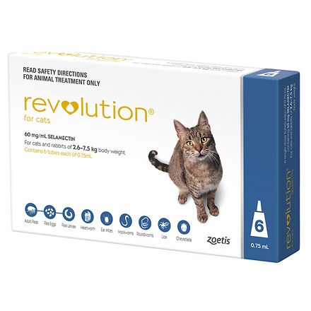 Revolution for Cats - Blue 6pk