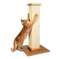 The Ultimate Scratching Post