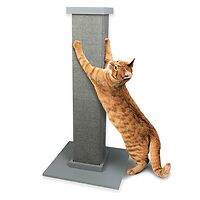 The Ultimate Scratching Post Grey