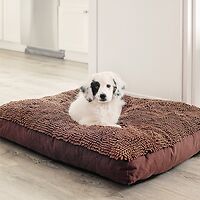 Dirty Dog Rectangle Dog Bed Chocolate