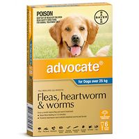 Advocate - Dogs over 25 kgs - Blue 6pk