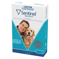Sentinel Spectrum Chew Large Dogs - Blue 6pk