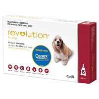 Revolution for Dogs 10.1-20kg - Red 6pk