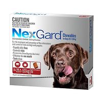NexGard for Dogs 25.1-50kg - Red 6pk
