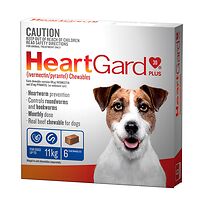 Heartgard Plus Chews Small Dog Blue 6's
