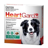 Heartgard Plus Chews Medium Green 6pk