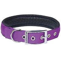 Soft Padded Collars 1" Purple