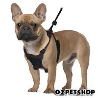 Sporn Mesh Stop-Pulling Harness