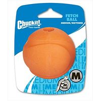 Chuck It Fetch Ball - Medium