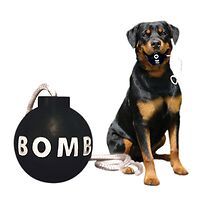 Tuffy Rugged Rubber Bomb Toy